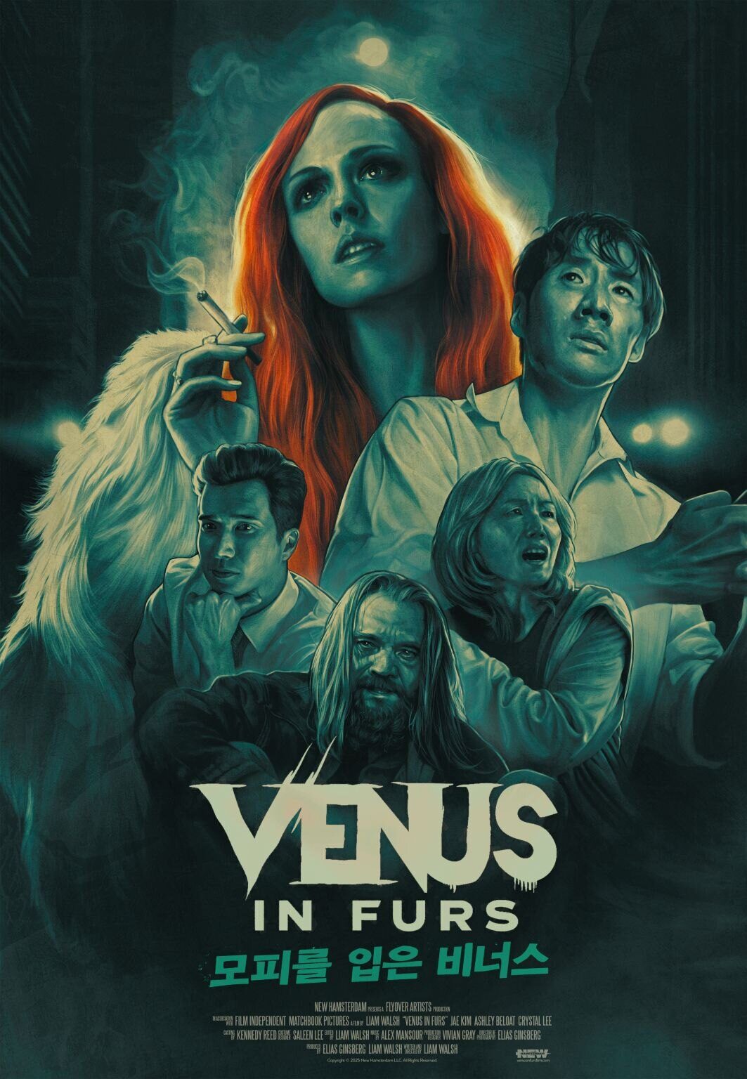 Venus in Furs poster