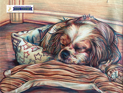 "Charlie" by Maria Suarez