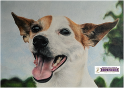 "Sunday Mornings" by Shweta Nanaware