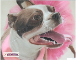"Pink Pup" by Park Anderson