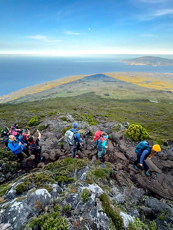 Salita al vulcano Pico