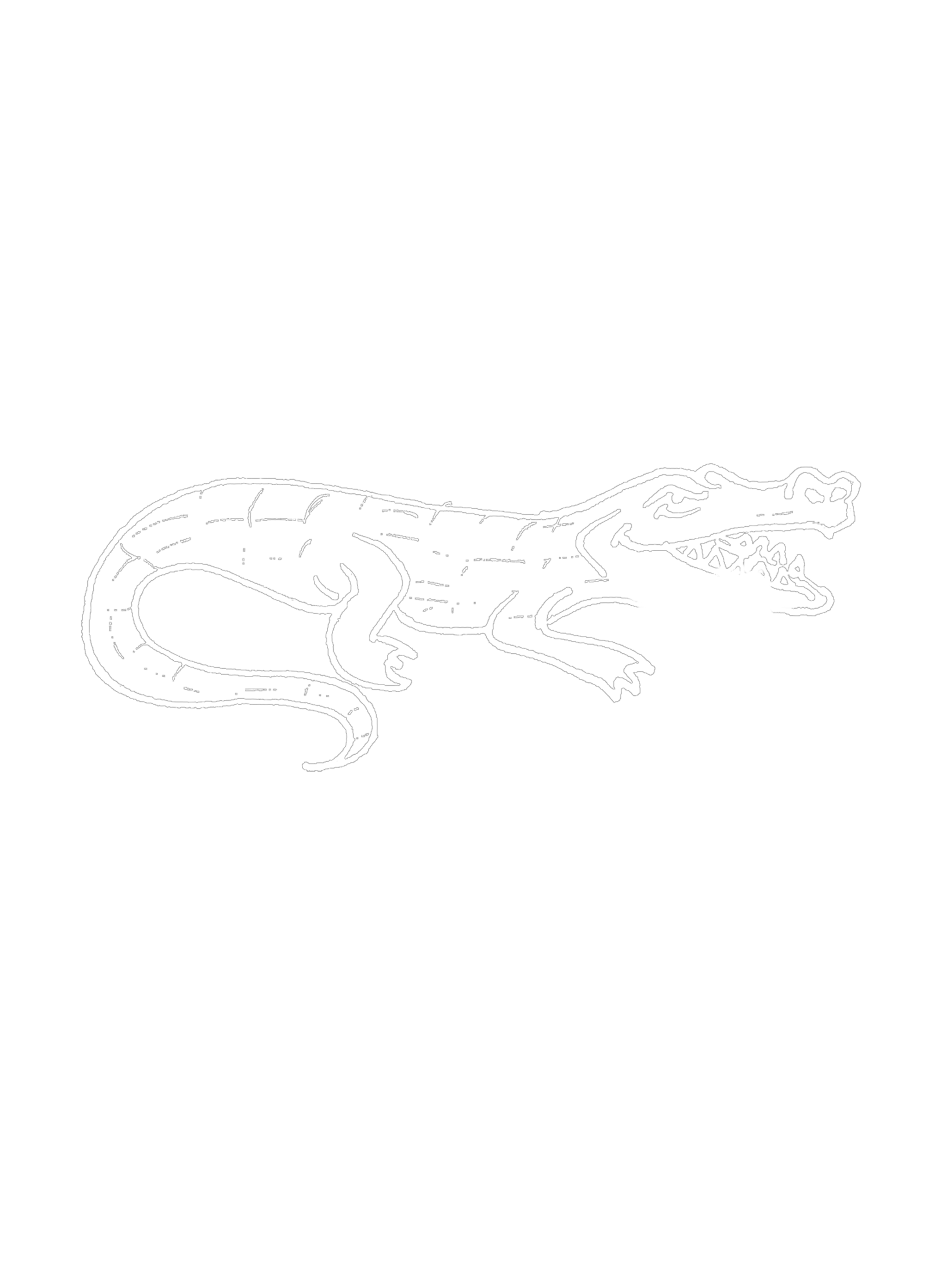 gator-fond-transparent-.gif