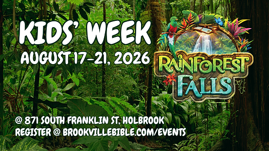 VBS 2026.png