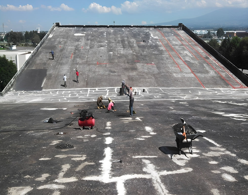 polideportivo 1