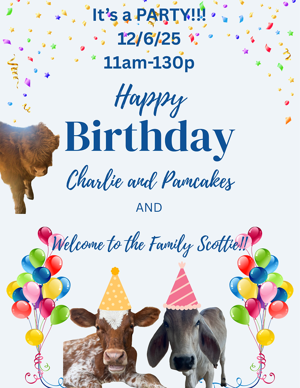 Happy Birthday and Welcome Party!