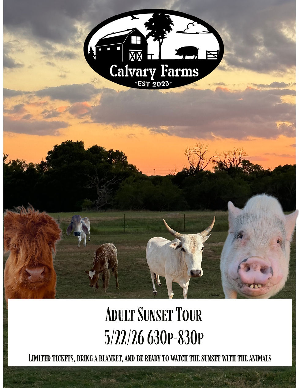Adult only sunset tour