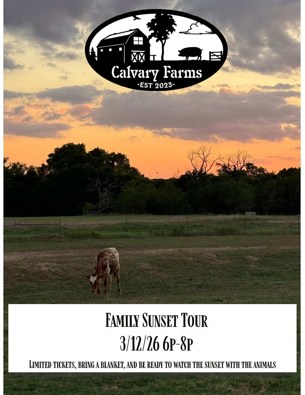 Family Sunset Tour
