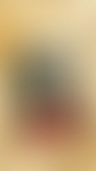 M.S.Zenky《褪色的我與染上夕色的妳》讀後感／Shika 西卡