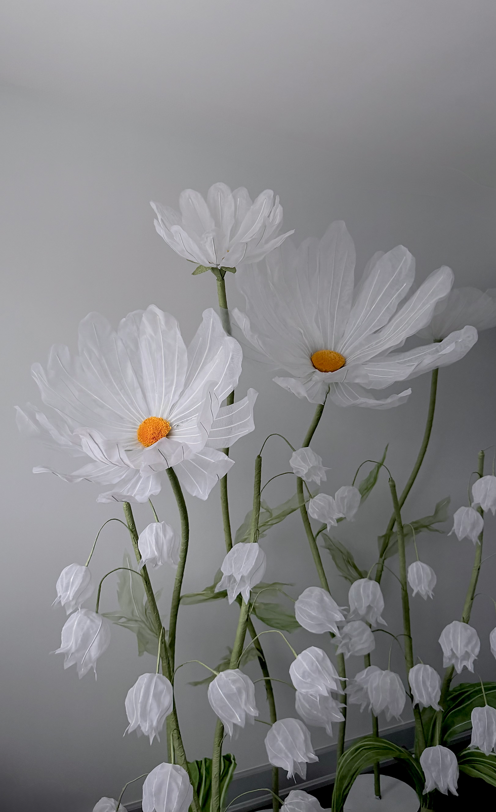 Custom Daisy Field