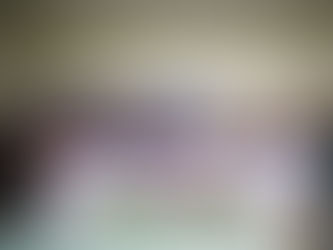 Celebrating the Successful Implementation of Dynamics 365 Finance & Operations with PT Havindo Pakan Optima