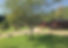 lodges 2.jpg