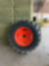 IMG_5637.jpeg