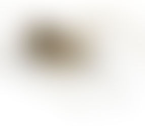 UberFact or Fiction: Spiders Can Fly?!