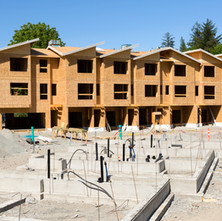 DEVELOPMENT