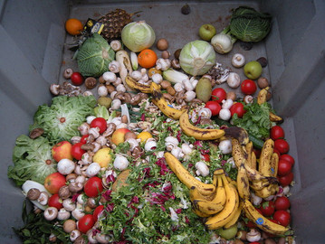 Desperdicio alimentario