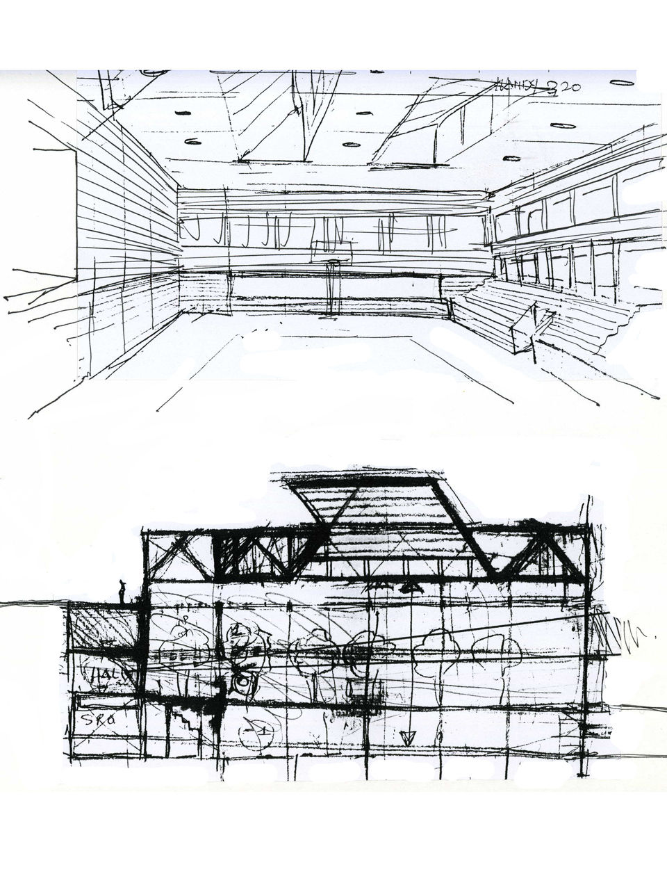 schizzi palestra
