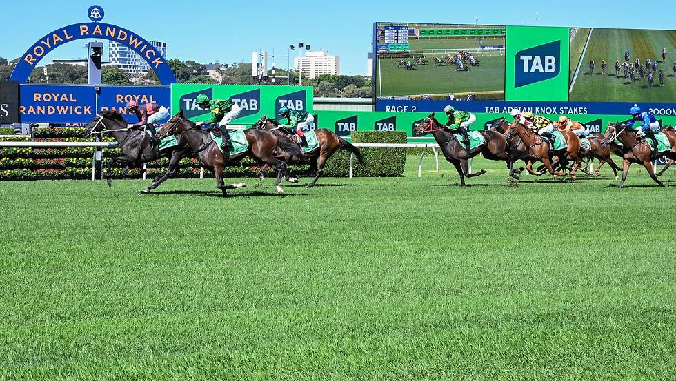 Jockeys' Room - 7_edited.jpg