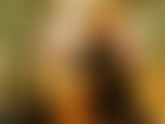 Lord Shri Krishna and Srimati Radharani