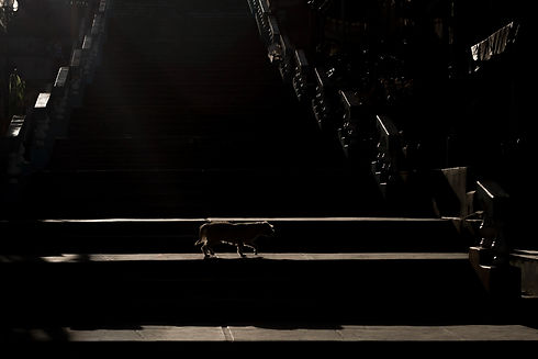 Belen retocado nuevo_217 copia.JPG