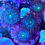 Thumbnail: Thin Mints Zoanthids