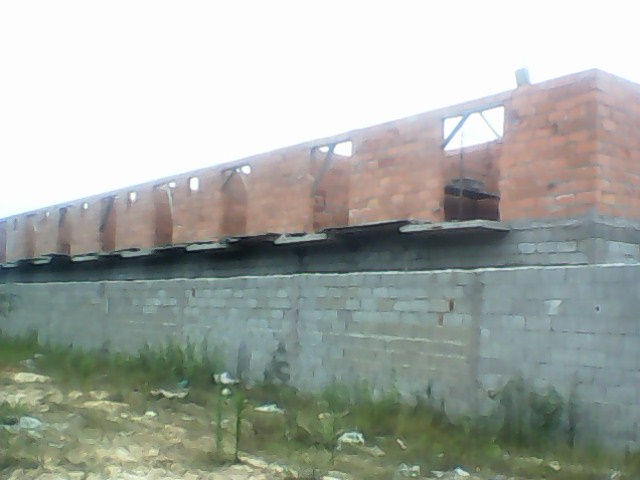 IMG0502A
