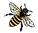 Untitled design.png
