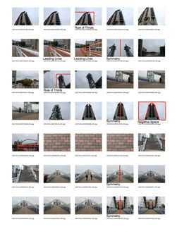 Cs1 with annotation-2.jpg