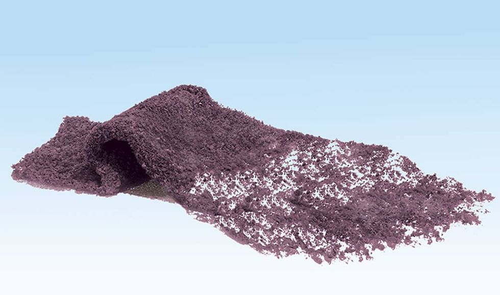 Thumbnail: Woodland Scenics Purple Flowering Foliage