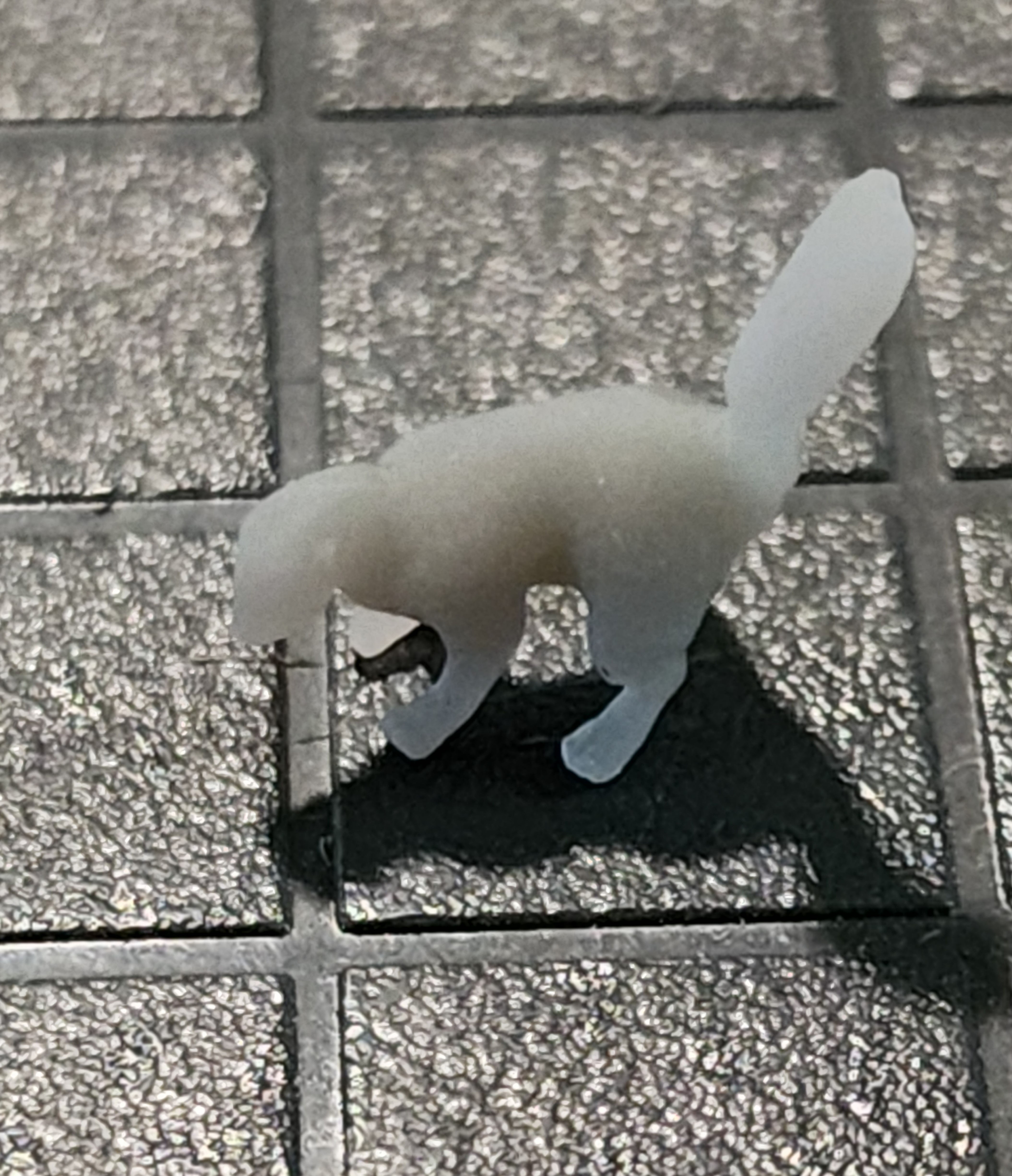 1/64 3D Printed Skunk