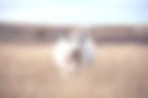 agricultural web design and marketing