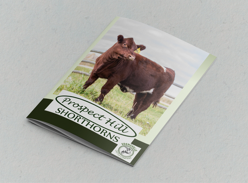 Equine and Cattle graphic design