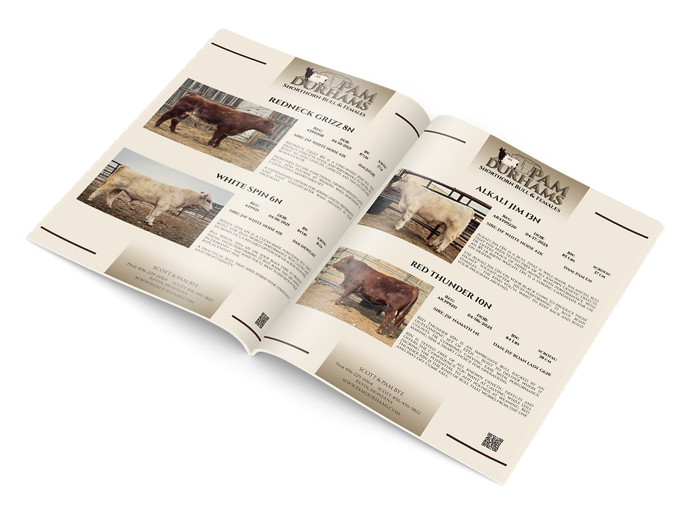 Pam Durhams Catalog.png