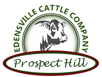 Untitled design (1).png