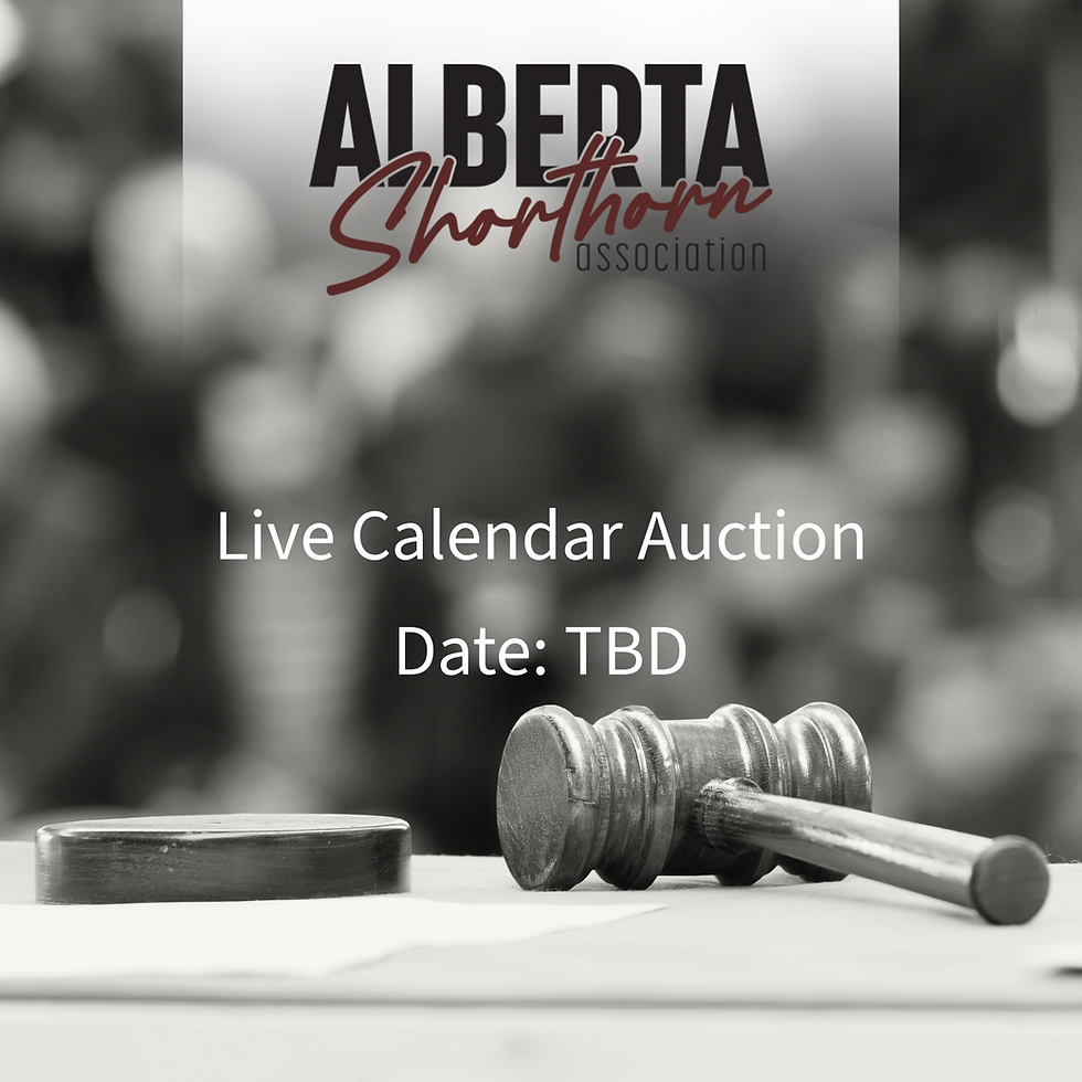 2026 ASA Live Calendar Auction