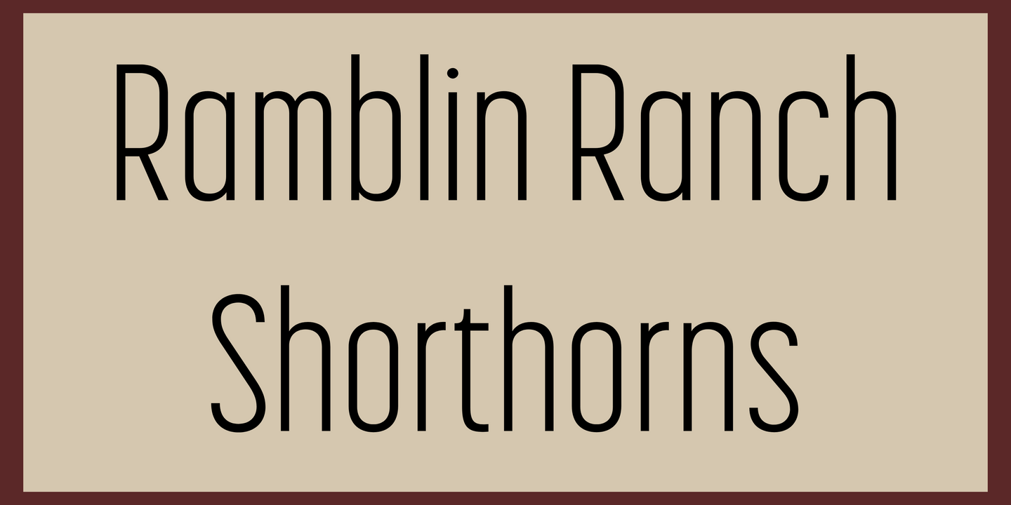 Ramblin Ranch Shorthorns