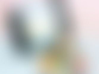 夏限定ラッピング登場🎐