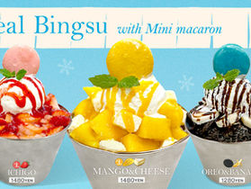 マカプレッソの Real Bingsu(リアルビンス) 販売開始