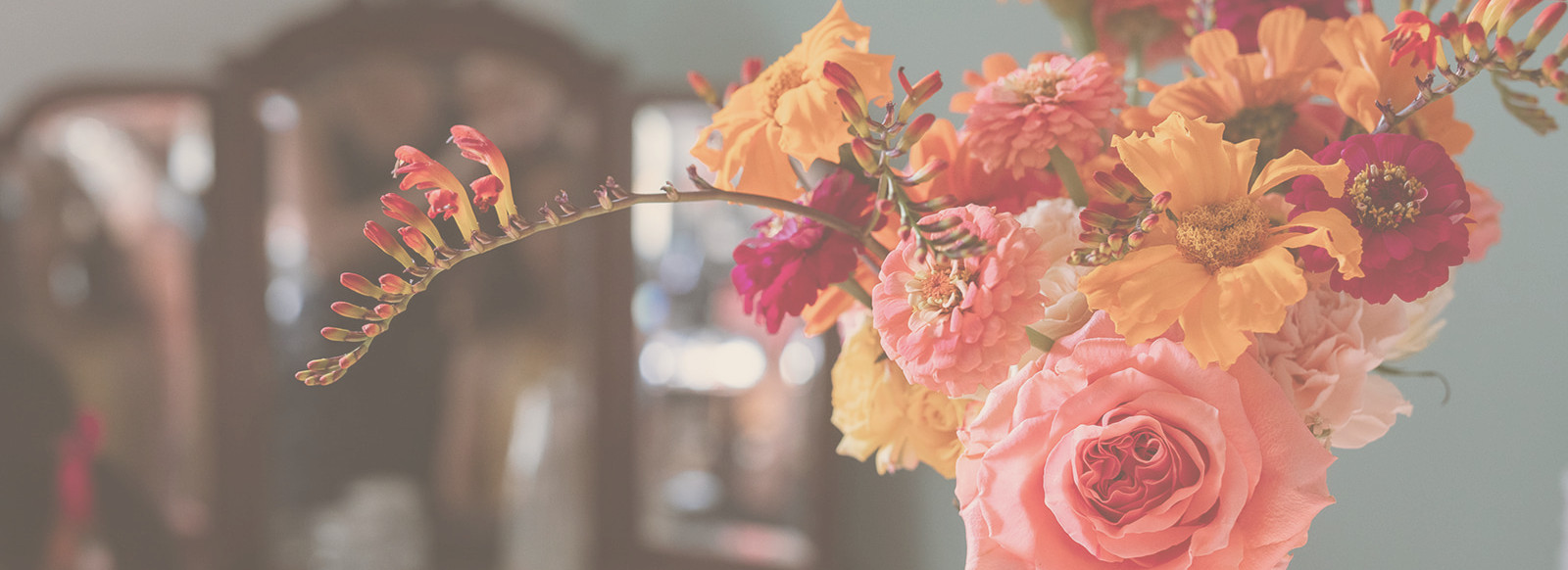 Meyline Esparcieux Photographe Landes Ma