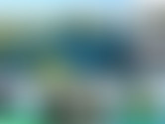 Tour Thăm Vịnh Hạ Long