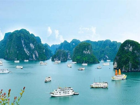 Tour Hạ Long 1 Ngày