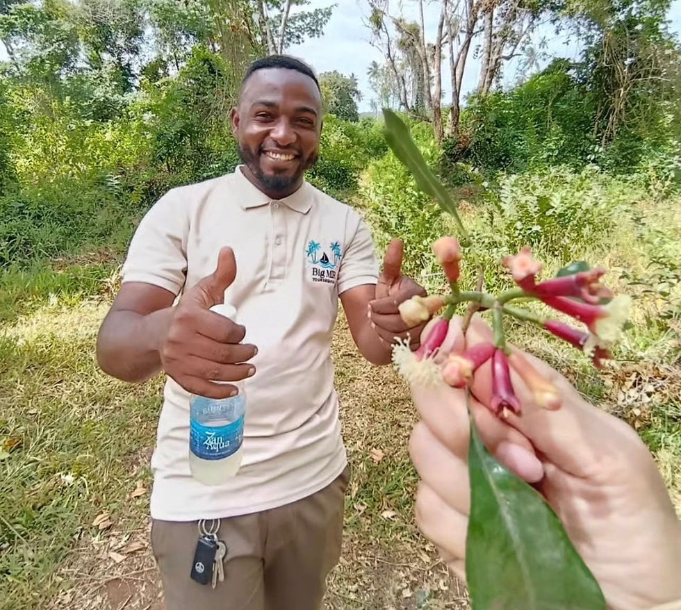 Miniaturbild: Spice Farm , Cooking Class &  Stone Town