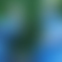 ADIDAS ULTRA BOOST MULTICOLOR