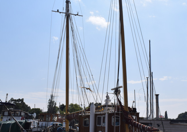 DSC_0670.JPG