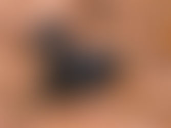 Le German Pinscher