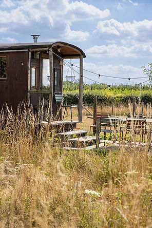 hoeve corfs _stefaniefaveere  057.jpg