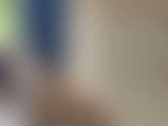 Inema e PM resgatam mais de 100 aves silvestres no Extremo Sul