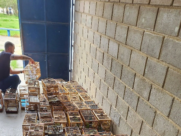 Foto: Divulgação/Inema.