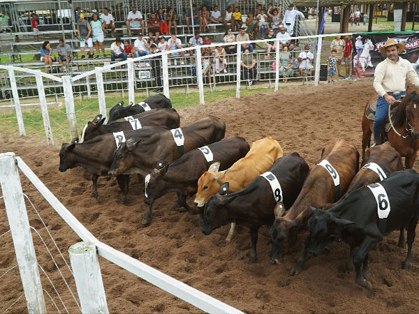 Setor agropecuário baiano ganha fôlego com calendário de feiras em maio e junho