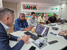 Bahia lidera produção nacional de sisal