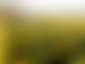Comissão discutirá em Brasília ações de enfrentamento à crise da citricultura baiana